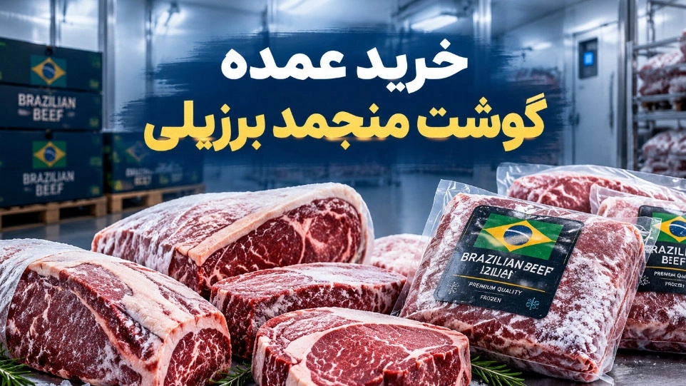 خرید عمده گوشت منجمد برزیلی برای فروشگاه‌ها و رستوران‌ها در تهران