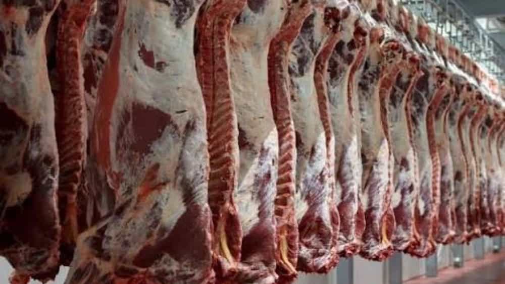 عرضه مستقیم گوشت برزیلی منجمد در ایران