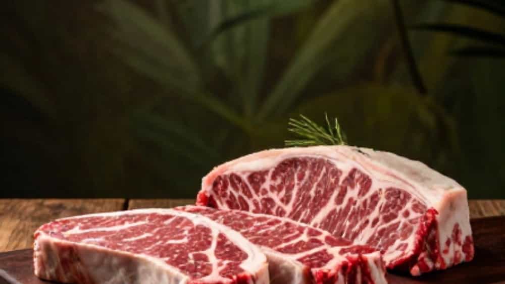 پخش عمده گوشت گوساله برزیلی آرتا با کیفیت صادراتی