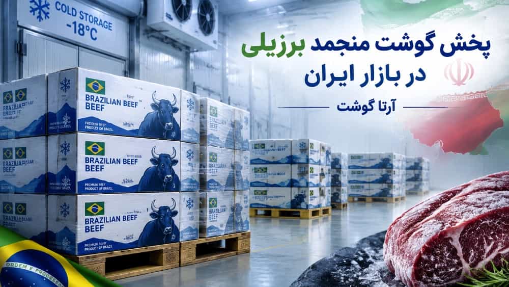پخش گوشت منجمد برزیلی آرتا با کیفیت تضمینی