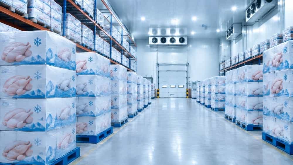 مزایای خرید مستقیم مرغ وارداتی از واردکننده اصلی بدون واسطه